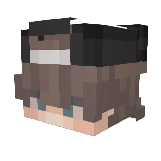 Bangerprofi Minecraft avatar head, 3D render