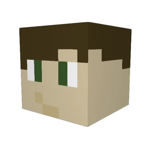 Bangpa98 Minecraft avatar head, 3D render