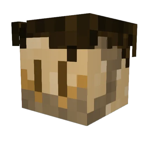Banhamillo Minecraft avatar head, 3D render