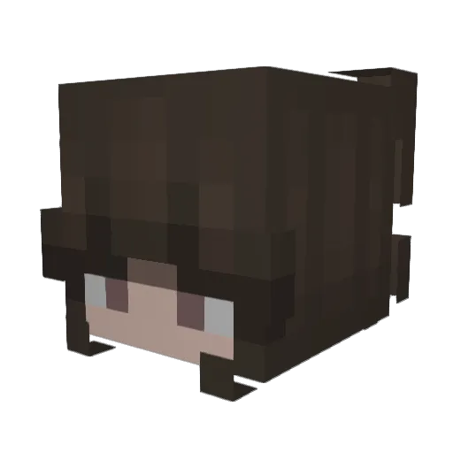 Banik Minecraft avatar head, 3D render