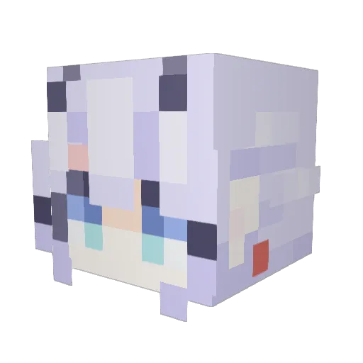 BanjoPlays Minecraft avatar head, 3D render