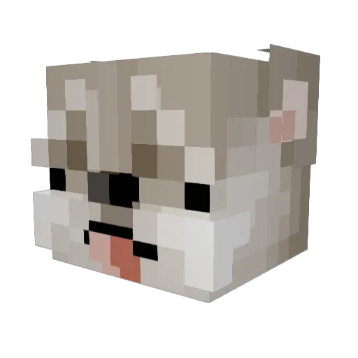 BanjoWoofGrrr Minecraft avatar head, 3D render