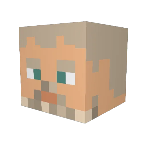 Banjo_Wild Minecraft avatar head, 3D render