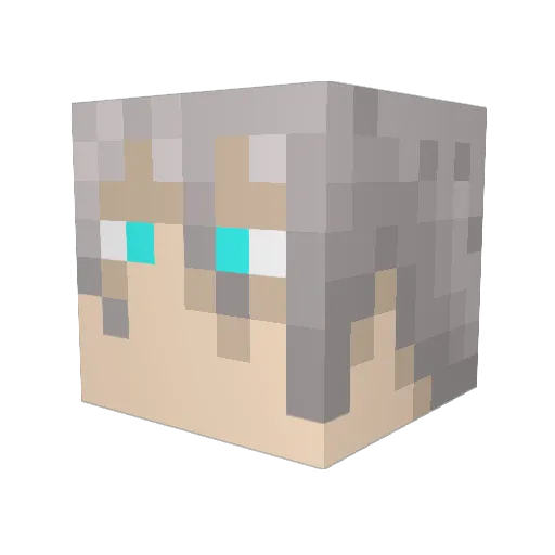 Bankai24 Minecraft avatar head, 3D render