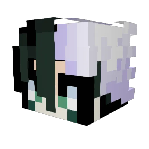 Bankaifer Minecraft avatar head, 3D render