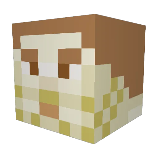 Bankinus Minecraft avatar head, 3D render