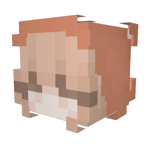 Bankispankis Minecraft avatar head, 3D render