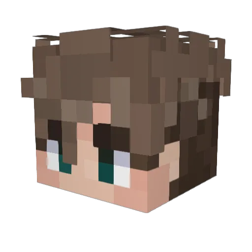 Banks1229 Minecraft avatar head, 3D render