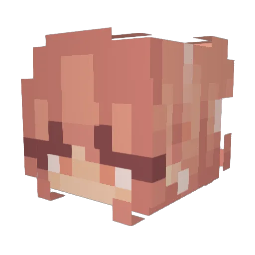 BannaBeez Minecraft avatar head, 3D render