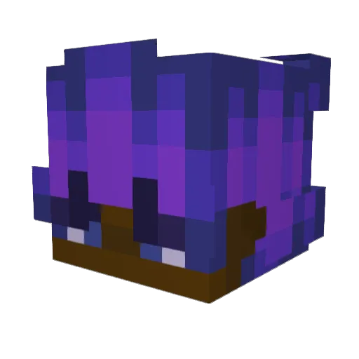 Bannderson Minecraft avatar head, 3D render