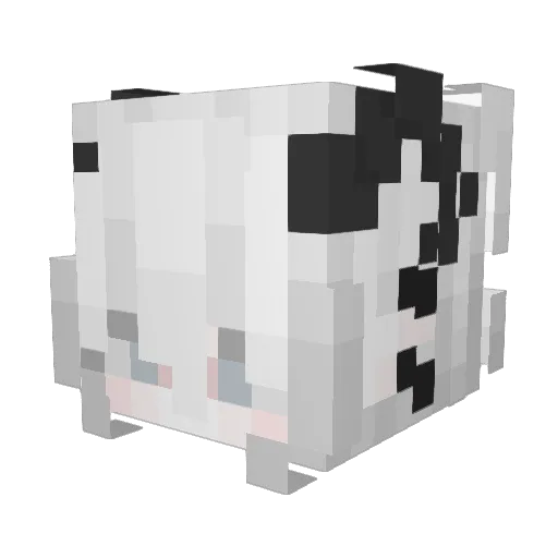 BannedLegend23 Minecraft avatar head, 3D render