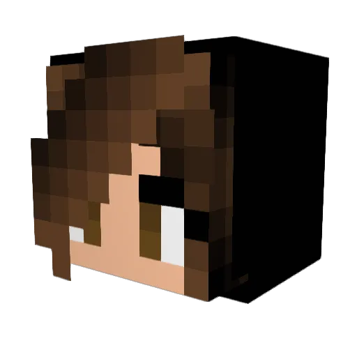 BannedTrash Minecraft avatar head, 3D render