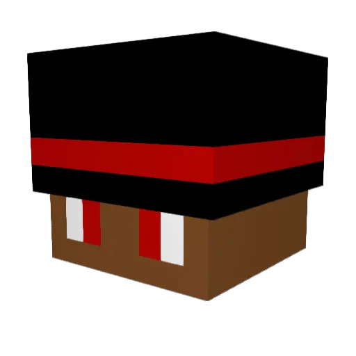 BannerSans Minecraft avatar head, 3D render