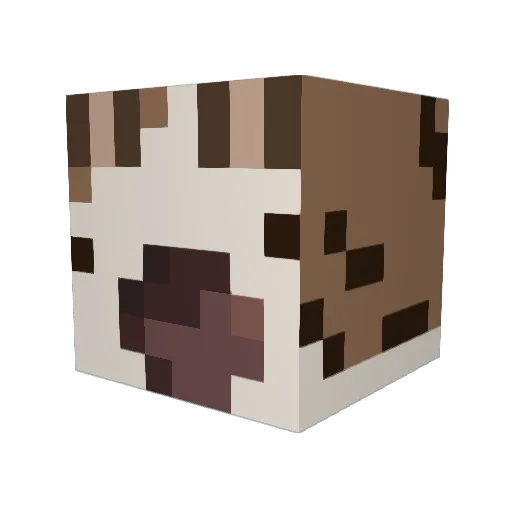 Bannette0 Minecraft avatar head, 3D render