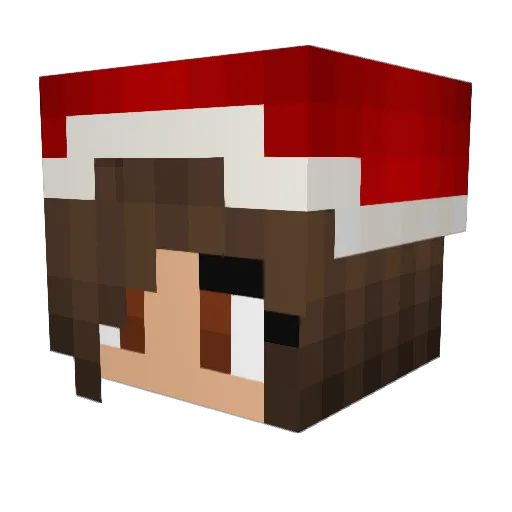 Banniken Minecraft avatar head, 3D render