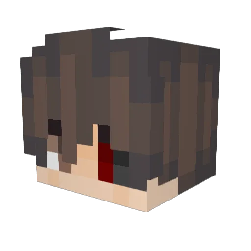 Bannyy Minecraft avatar head, 3D render