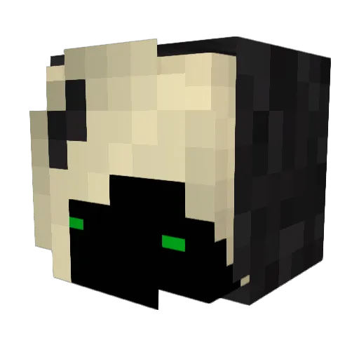 Banone Minecraft avatar head, 3D render