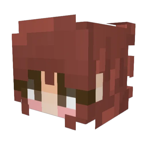 Banquito203 Minecraft avatar head, 3D render