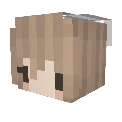 Banz Minecraft avatar head, 3D render