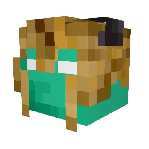 BaoBap Minecraft avatar head, 3D render