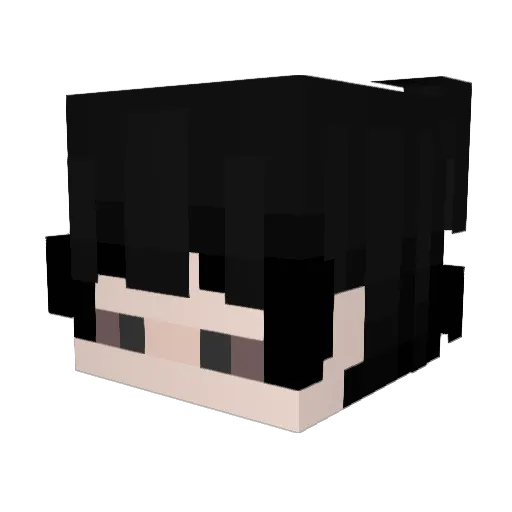BaoLongJun Minecraft avatar head, 3D render