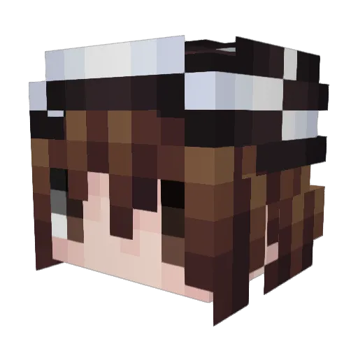 BaoZI2952 Minecraft avatar head, 3D render