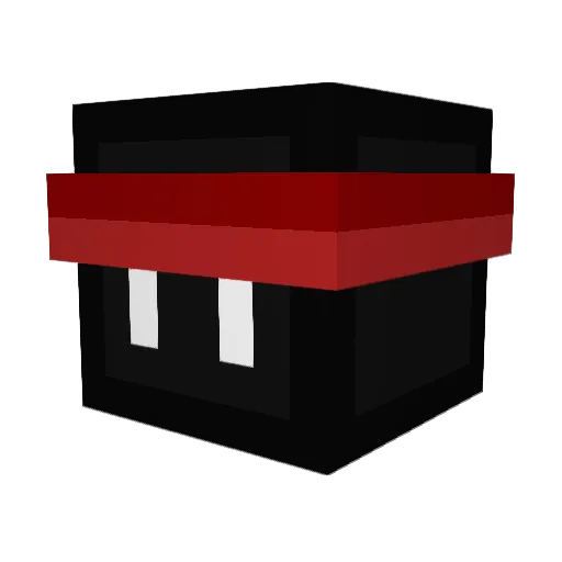 Baoba20004 Minecraft avatar head, 3D render