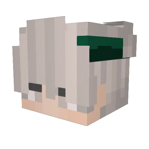 Baobz Minecraft avatar head, 3D render