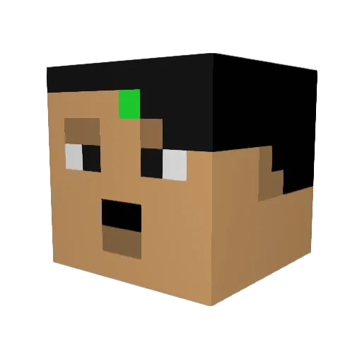 BapeAufNackenLOL Minecraft avatar head, 3D render