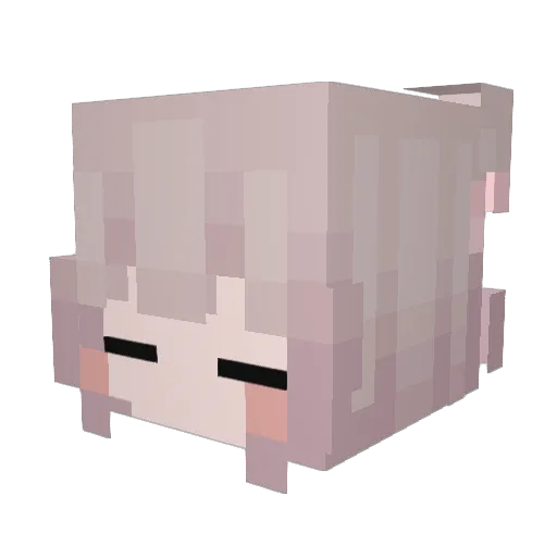 Bappies Minecraft avatar head, 3D render