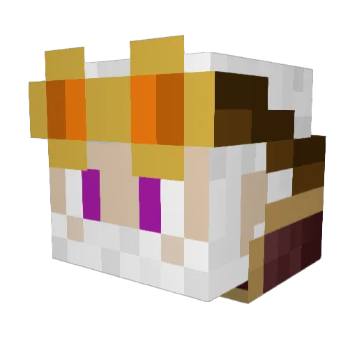 Bappo1969 Minecraft avatar head, 3D render