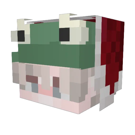 Bappolol Minecraft avatar head, 3D render