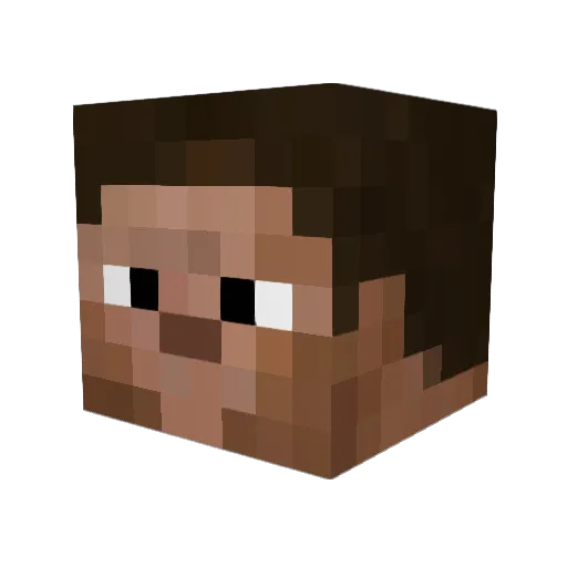 Baptiderrffe Minecraft avatar head, 3D render