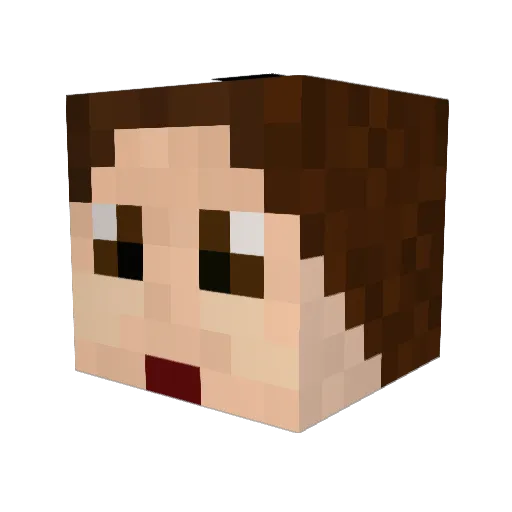 Baptigrou Minecraft avatar head, 3D render