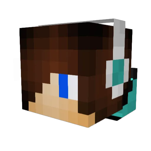 Baptist10 Minecraft avatar head, 3D render