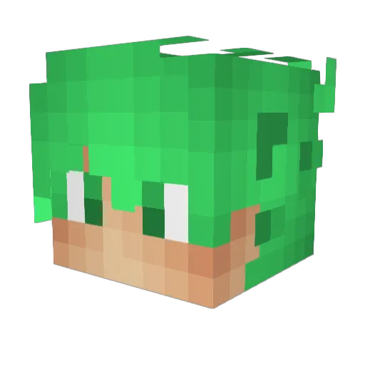 BaptisteRS4 Minecraft avatar head, 3D render