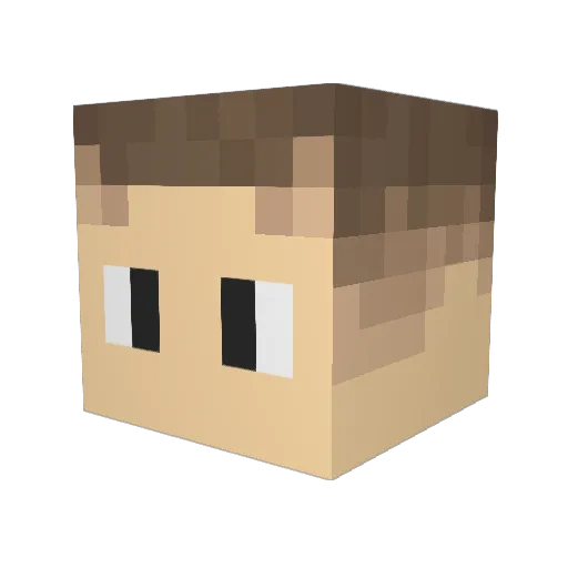 Bar0nOO4 Minecraft avatar head, 3D render