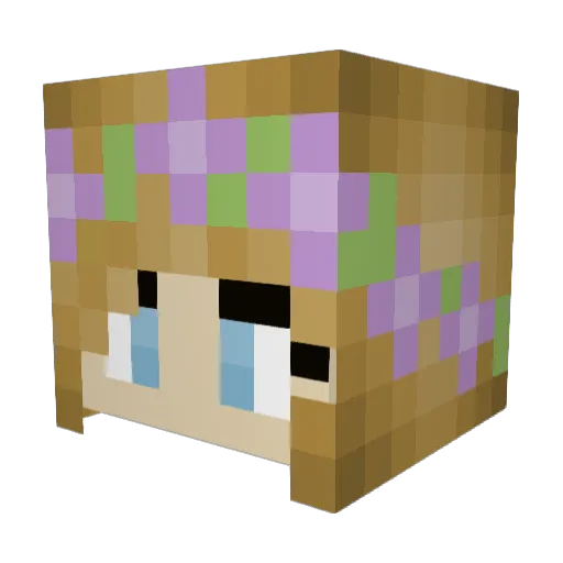 BarDuck95 Minecraft avatar head, 3D render