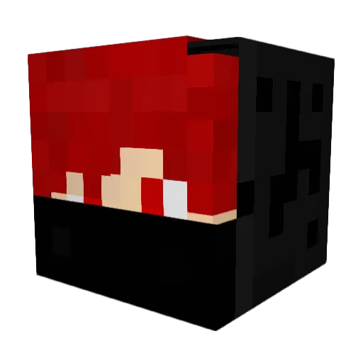 Bar_Willow Minecraft avatar head, 3D render