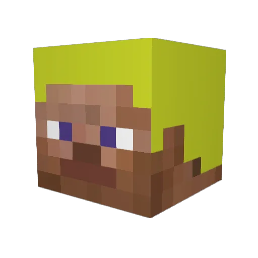 Barack_OBroccoli Minecraft avatar head, 3D render