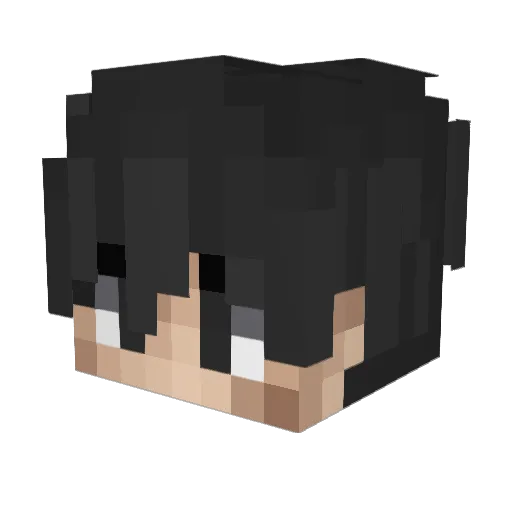Baracouda Minecraft avatar head, 3D render