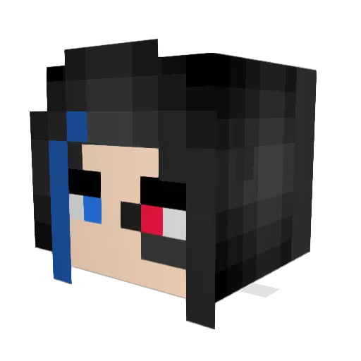 Baragee Minecraft avatar head, 3D render