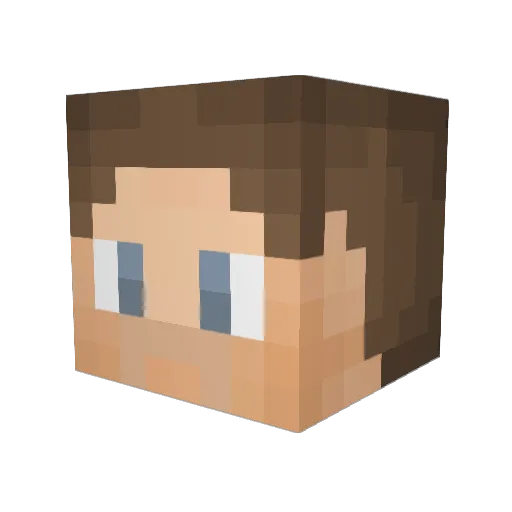 Barambas Minecraft avatar head, 3D render