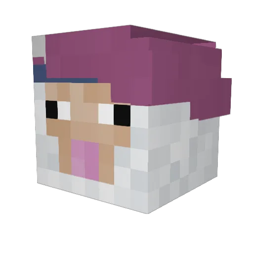 Baranio Minecraft avatar head, 3D render