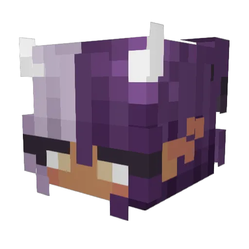 Bararee Minecraft avatar head, 3D render