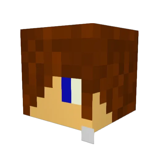 Barary Minecraft avatar head, 3D render
