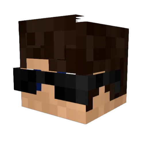 Baratatonta_br55 Minecraft avatar head, 3D render