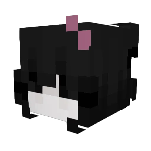 Barb0raa Minecraft avatar head, 3D render