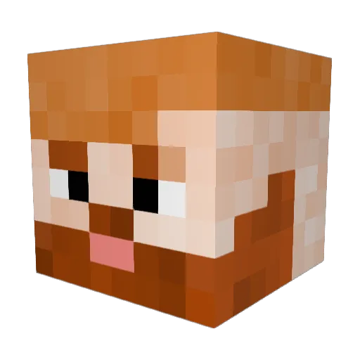BarbaLuna1016 Minecraft avatar head, 3D render