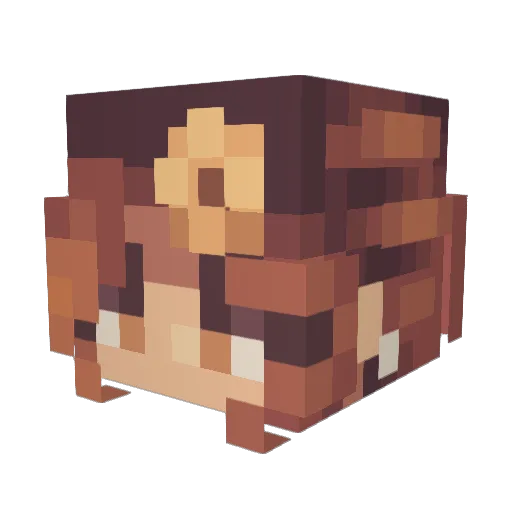 BarbaraGeraldes Minecraft avatar head, 3D render